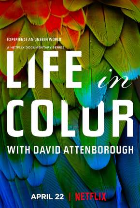 Life In Colour - 1ª Temporada Completa Torrent