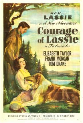 A Coragem de Lassie / Courage of Lassie 